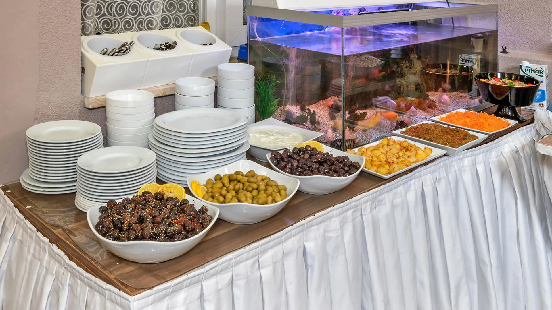 ***  Aristocrat Hotel Istanbul Turkey