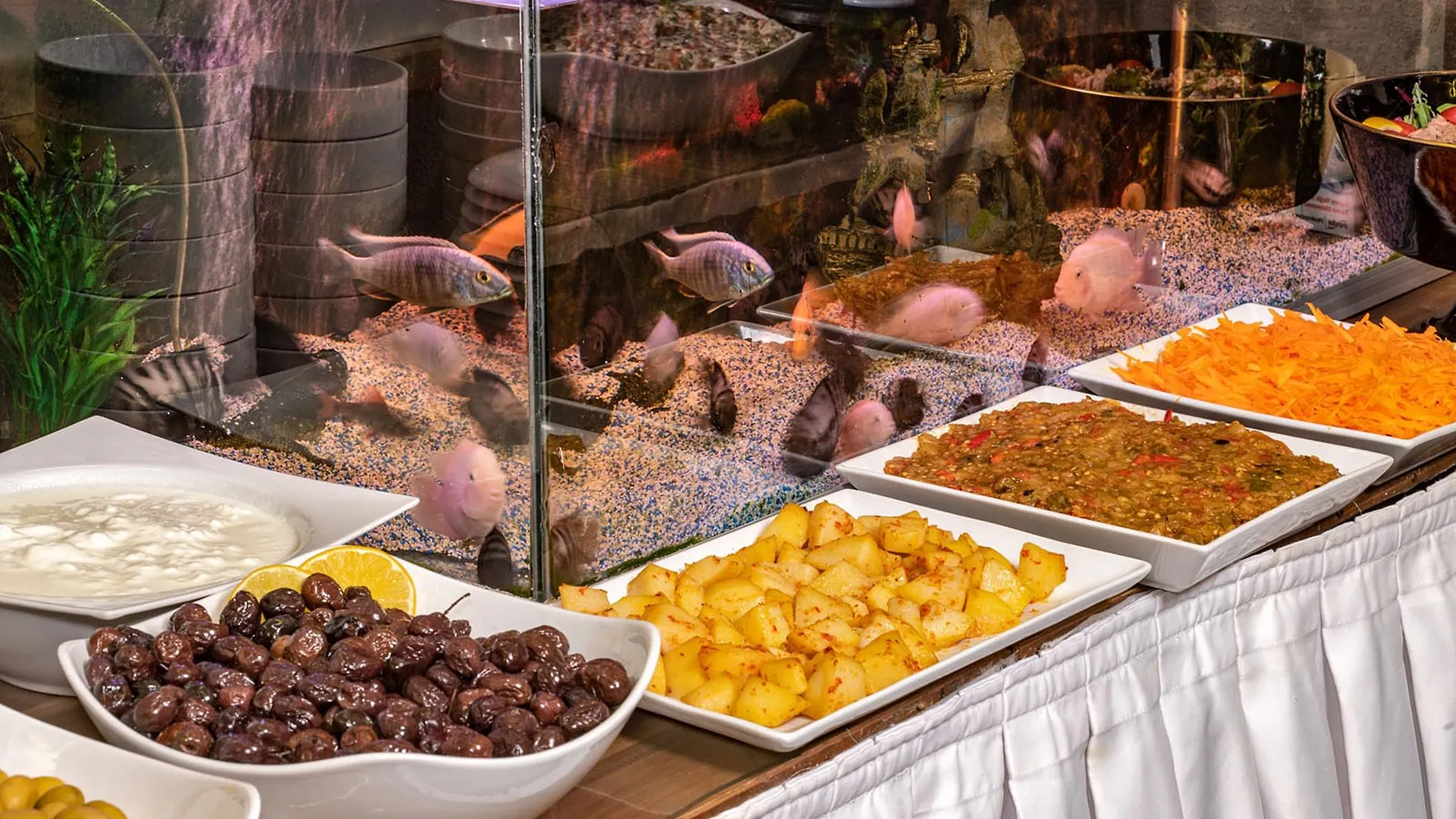 Aristocrat Hotel Istanbul