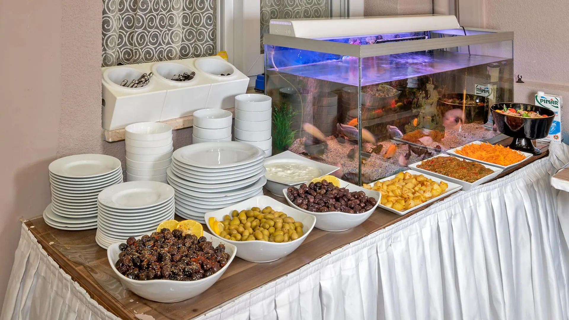 Aristocrat Hotel Istanbul Turkey